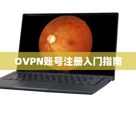 OVPN账号注册入门指南