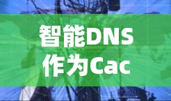 智能DNS作为CactusVPN中的核心功能，显著提升了网络访问的可靠性和安全性。以下是智能DNS的主要功能及其详细说明