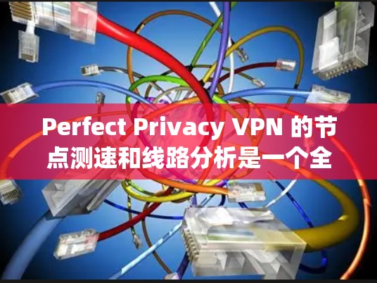 Perfect Privacy VPN 的节点测速和线路分析是一个全面而详细的网络性能评估。以下是对该网络性能的详细分析