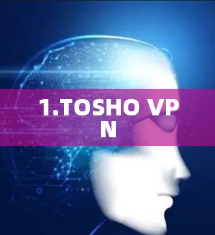 1.TOSHO VPN