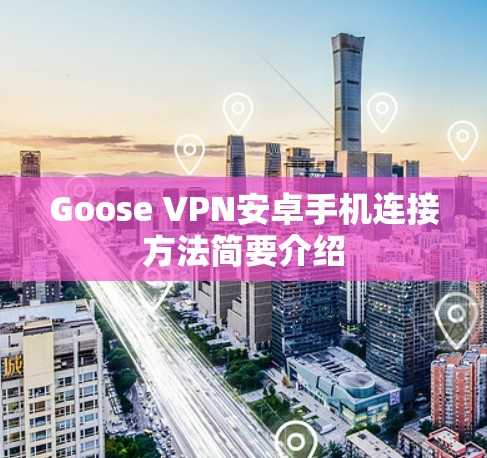 Goose VPN安卓手机连接方法简要介绍