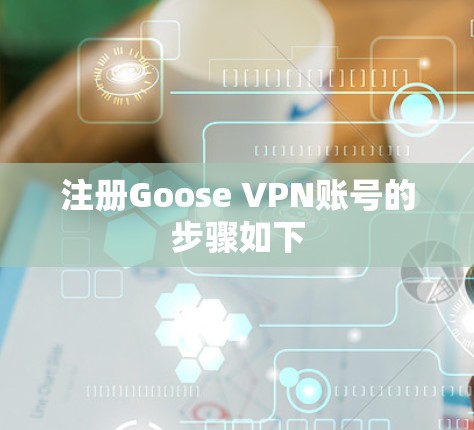 注册Goose VPN账号的步骤如下