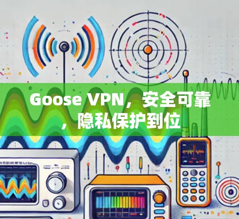 Goose VPN，安全可靠，隐私保护到位