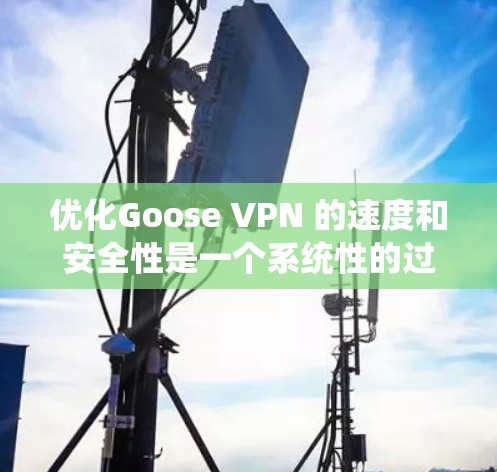 优化Goose VPN 的速度和安全性是一个系统性的过程，需要综合考虑网络环境、VPN选择、防火墙设置以及流量管理等。以下是一些优化Goose VPN 的方法，涵盖速度优化和安全措施