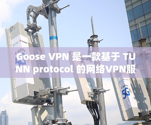 Goose VPN 是一款基于 TUNN protocol 的网络VPN服务，专为移动设备设计，满足了用户对高速度、稳定性和多功能需求的多样化需求。以下是Goose VPN 的评测和体验分析