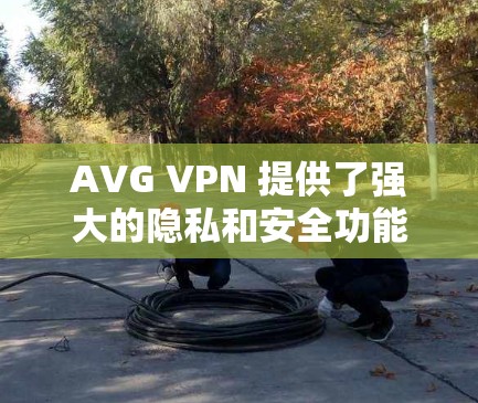 AVG VPN 提供了强大的隐私和安全功能，旨在保护用户的信息和隐私。以下是其主要的隐私和安全功能