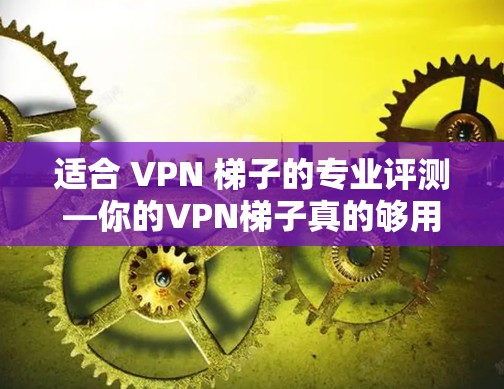 适合 VPN 梯子的专业评测—你的VPN梯子真的够用吗？