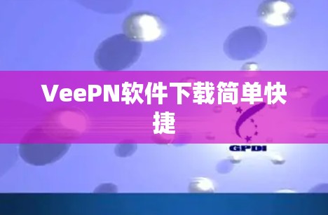 VeePN软件下载简单快捷
