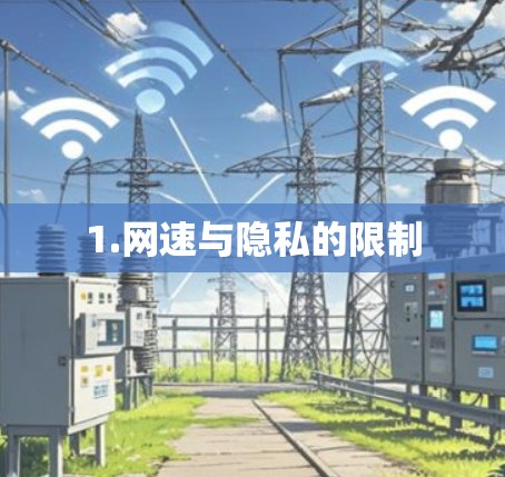 1.网速与隐私的限制