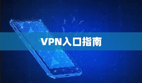 VPN入口指南