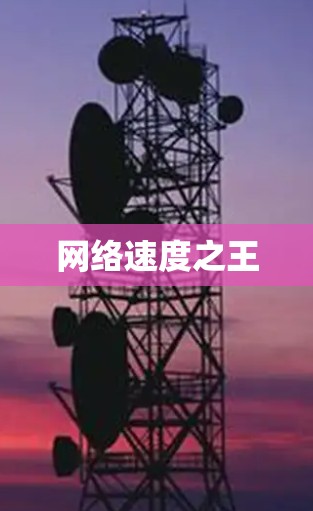 网络速度之王