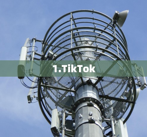 1.TikTok