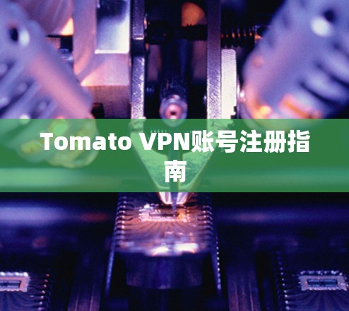 Tomato VPN账号注册指南