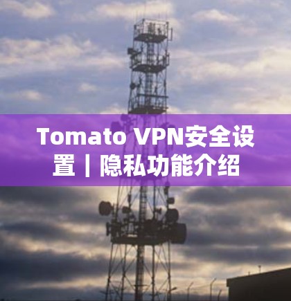 Tomato VPN安全设置｜隐私功能介绍