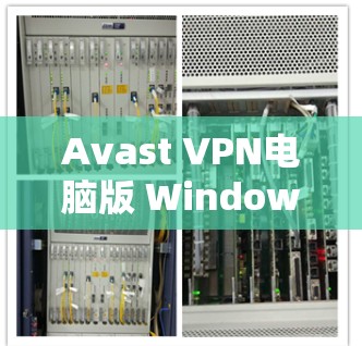 Avast VPN电脑版 Windows使用指南