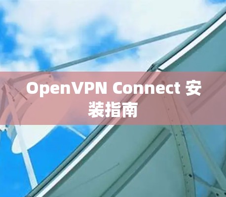 OpenVPN Connect 安装指南