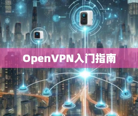 OpenVPN入门指南