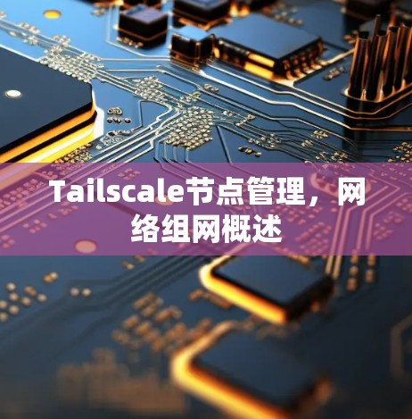Tailscale节点管理，网络组网概述
