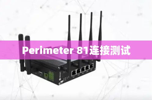 Perimeter 81连接测试 Perimeter 81连接测试