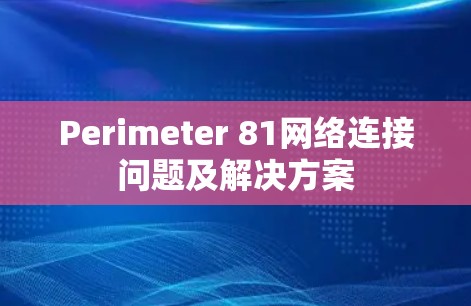 Perimeter 81网络连接问题及解决方案