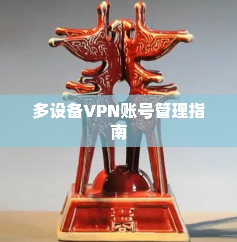 多设备VPN账号管理指南