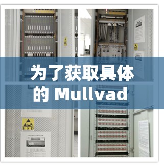 为了获取具体的 Mullvad VPN 的服务器节点和全球线路的测速信息，建议您访问 Mullvad 的官方网站或联系他们的技术支持团队，他们会提供详细的数据和测试结果