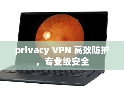 privacy VPN 高效防护，专业级安全