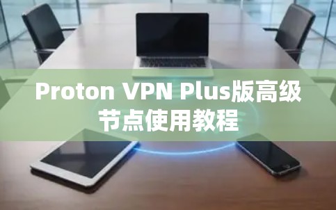 Proton VPN Plus版高级节点使用教程