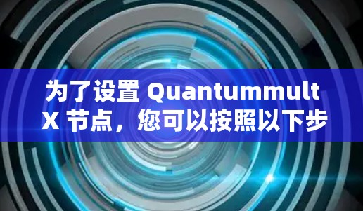 为了设置 Quantummult X 节点，您可以按照以下步骤进行