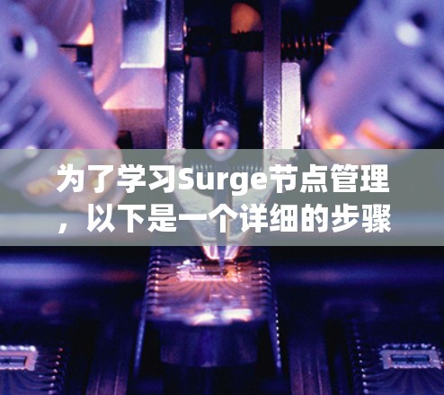 为了学习Surge节点管理，以下是一个详细的步骤指南