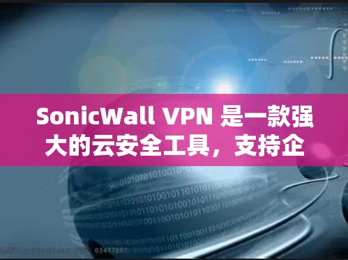 SonicWall VPN 是一款强大的云安全工具，支持企业级的网络监控和管理。以下是一份详细的服务器设置指南，帮助您在企业环境中正确配置SonicWall