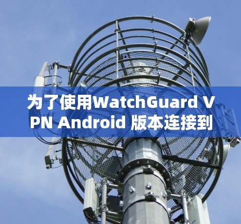 为了使用WatchGuard VPN Android 版本连接到移动设备并查看网络信息，按照以下步骤操作