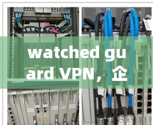 watched guard VPN，企业级加密通信解决方案