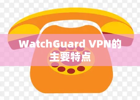 WatchGuard VPN的主要特点