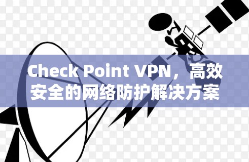 Check Point VPN，高效安全的网络防护解决方案