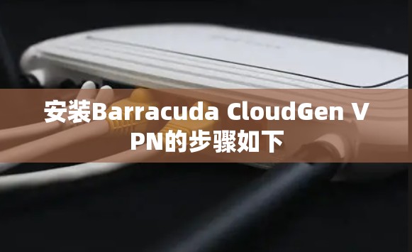 安装Barracuda CloudGen VPN的步骤如下