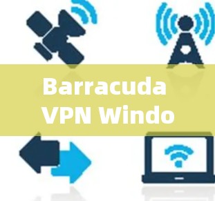 Barracuda VPN Windows版的连接指南