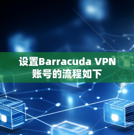 设置Barracuda VPN账号的流程如下