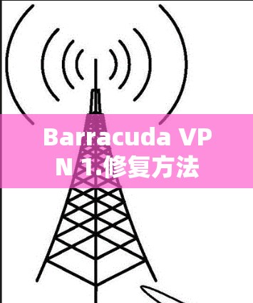 Barracuda VPN 1.修复方法