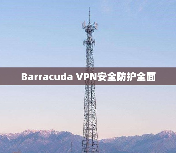 Barracuda VPN安全防护全面