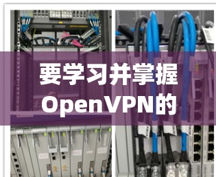 要学习并掌握OpenVPN的远程办公方案的连接教程，可以按照以下步骤进行
