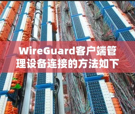 WireGuard客户端管理设备连接的方法如下