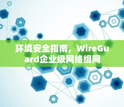 环境安全指南，WireGuard企业级网络组网