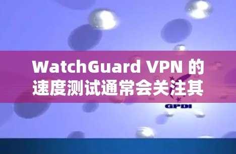 WatchGuard VPN 的速度测试通常会关注其网络连接的稳定性、延迟、带宽以及响应时间等指标。以下是一个对WatchGuard VPN 的网络连接情况进行的初步分析