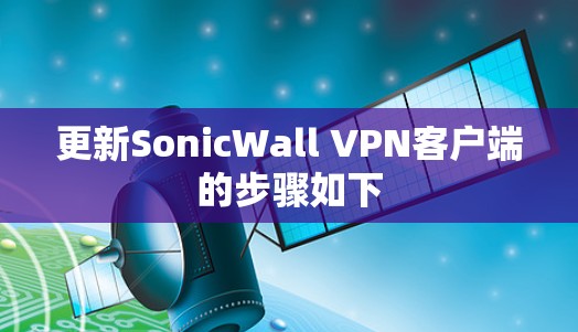 更新SonicWall VPN客户端的步骤如下