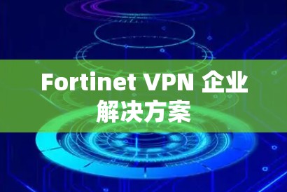Fortinet VPN 企业解决方案