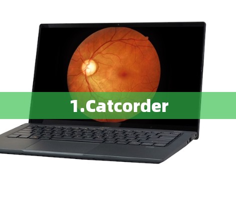 1.Catcorder