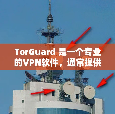 TorGuard 是一个专业的VPN软件，通常提供的是专业级的加密和安全功能。为了确保安全和正确使用 TorGuard，建议按照以下步骤进行下载和使用