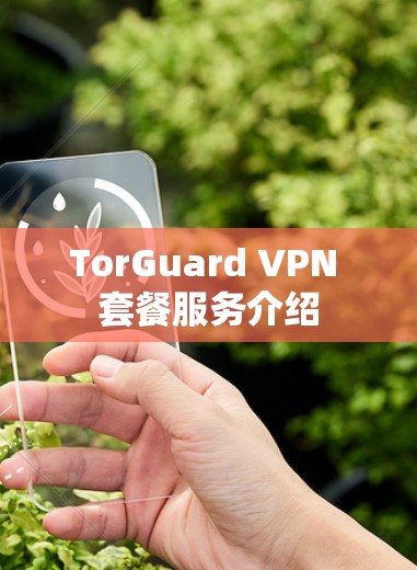 TorGuard VPN 套餐服务介绍