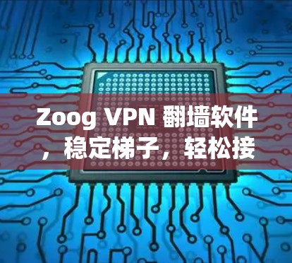 Zoog VPN 翻墙软件，稳定梯子，轻松接入世界
